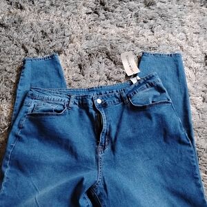 Judy Blue Classic Indigo Skinny Jeans